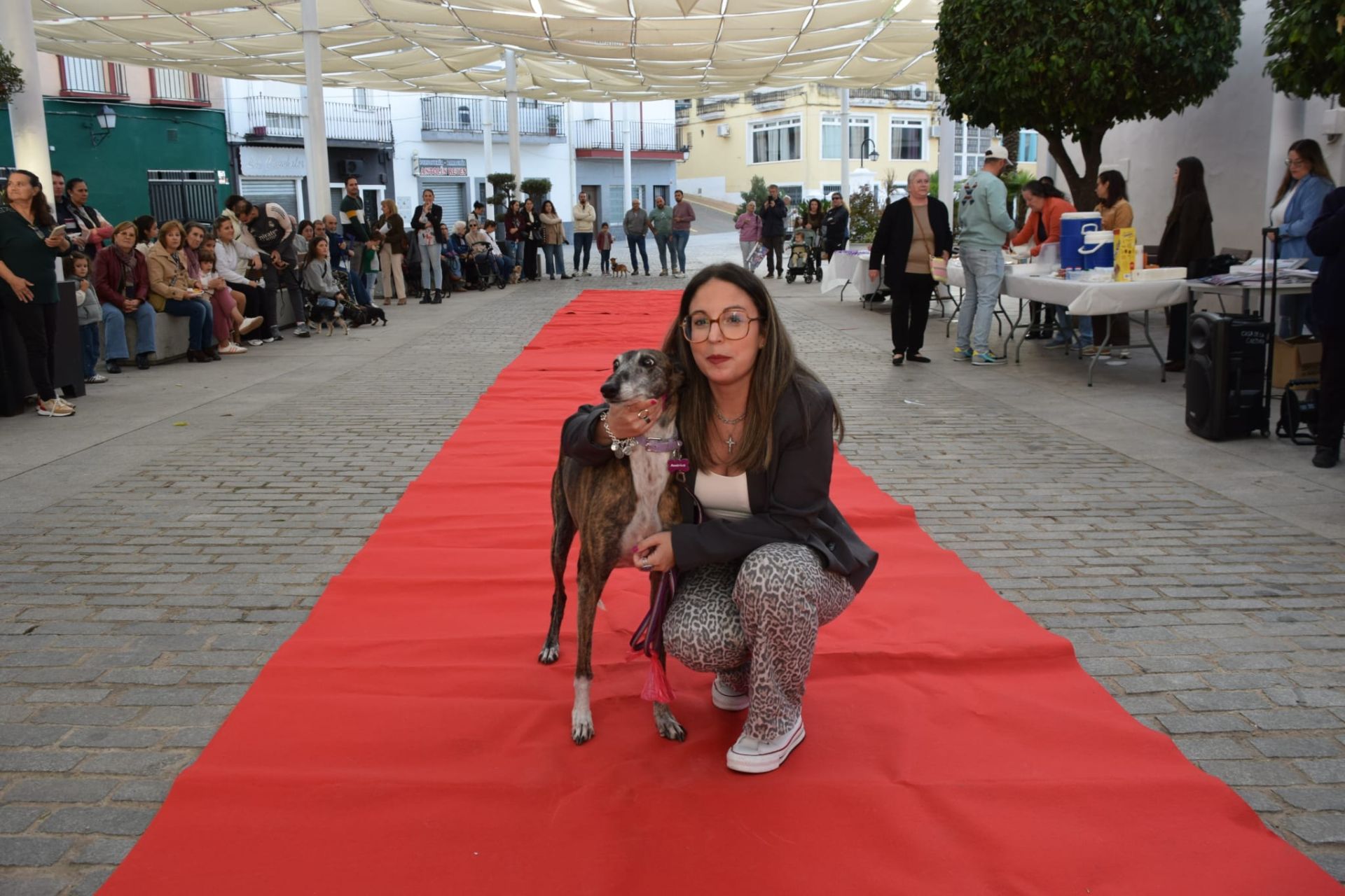VI Desfile Canino Amaval