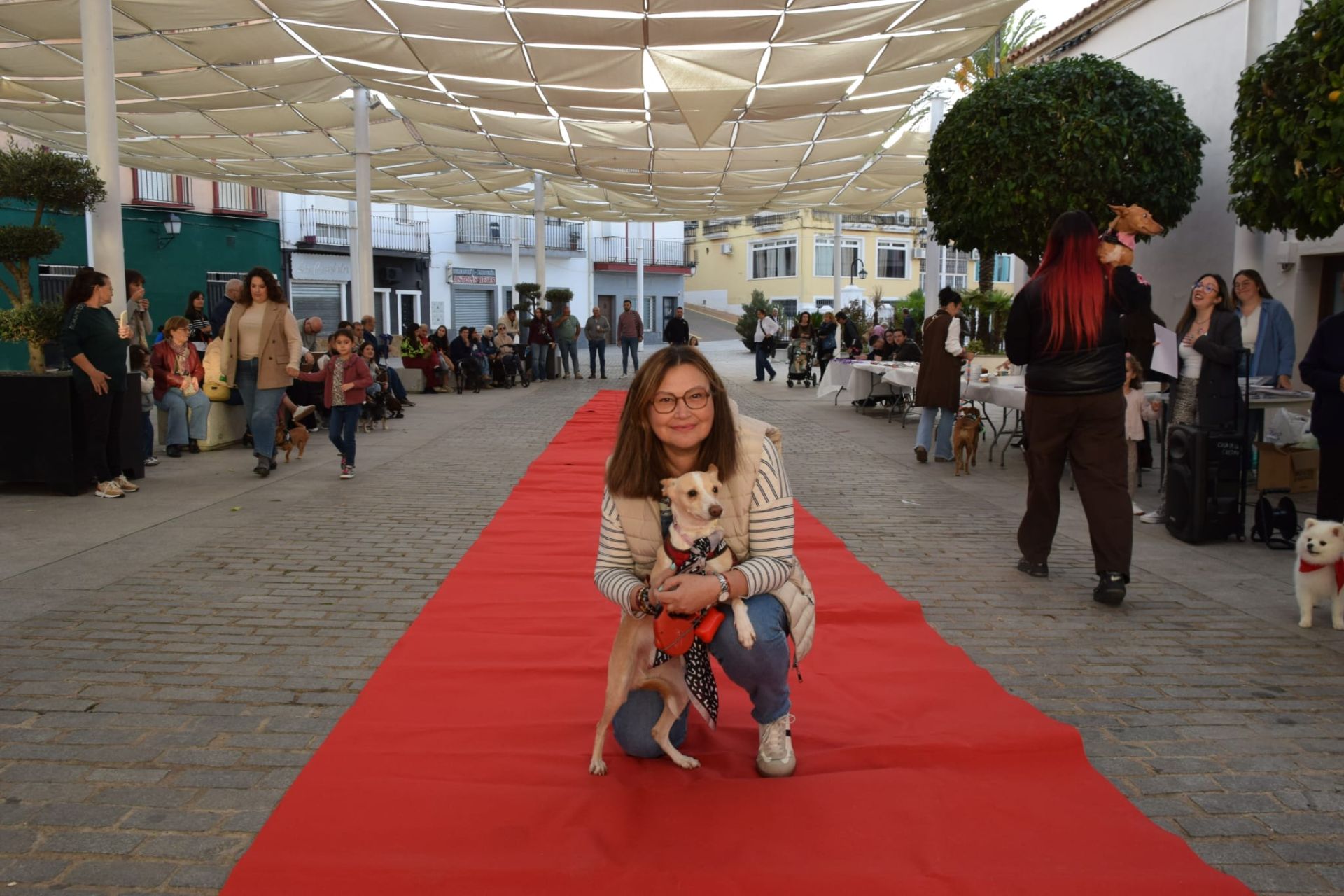 VI Desfile Canino Amaval