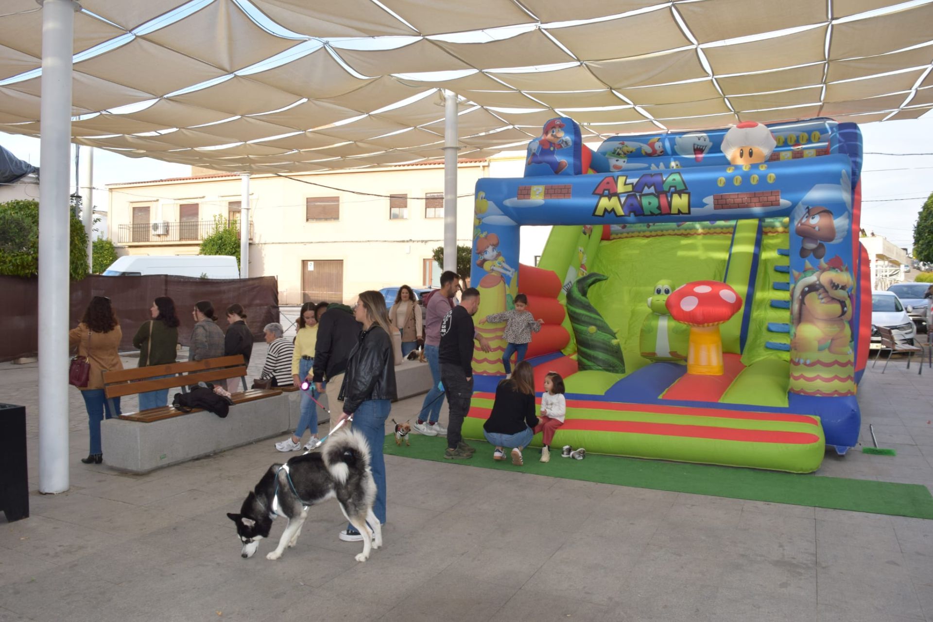 VI Desfile Canino Amaval