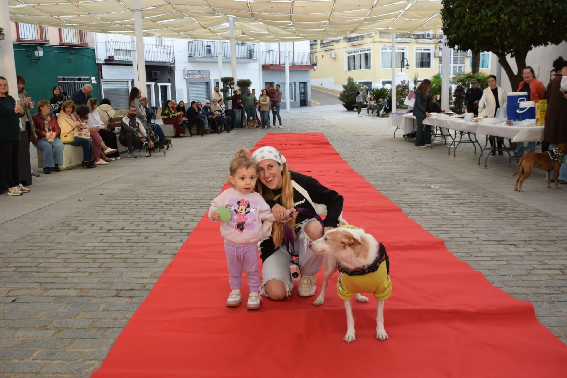 VI Desfile Canino Amaval
