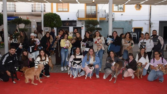 El VI Desfile Canino pone el broche de oro a ValverArtex 2025