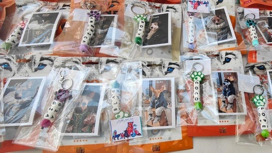 VI Desfile Canino Amaval