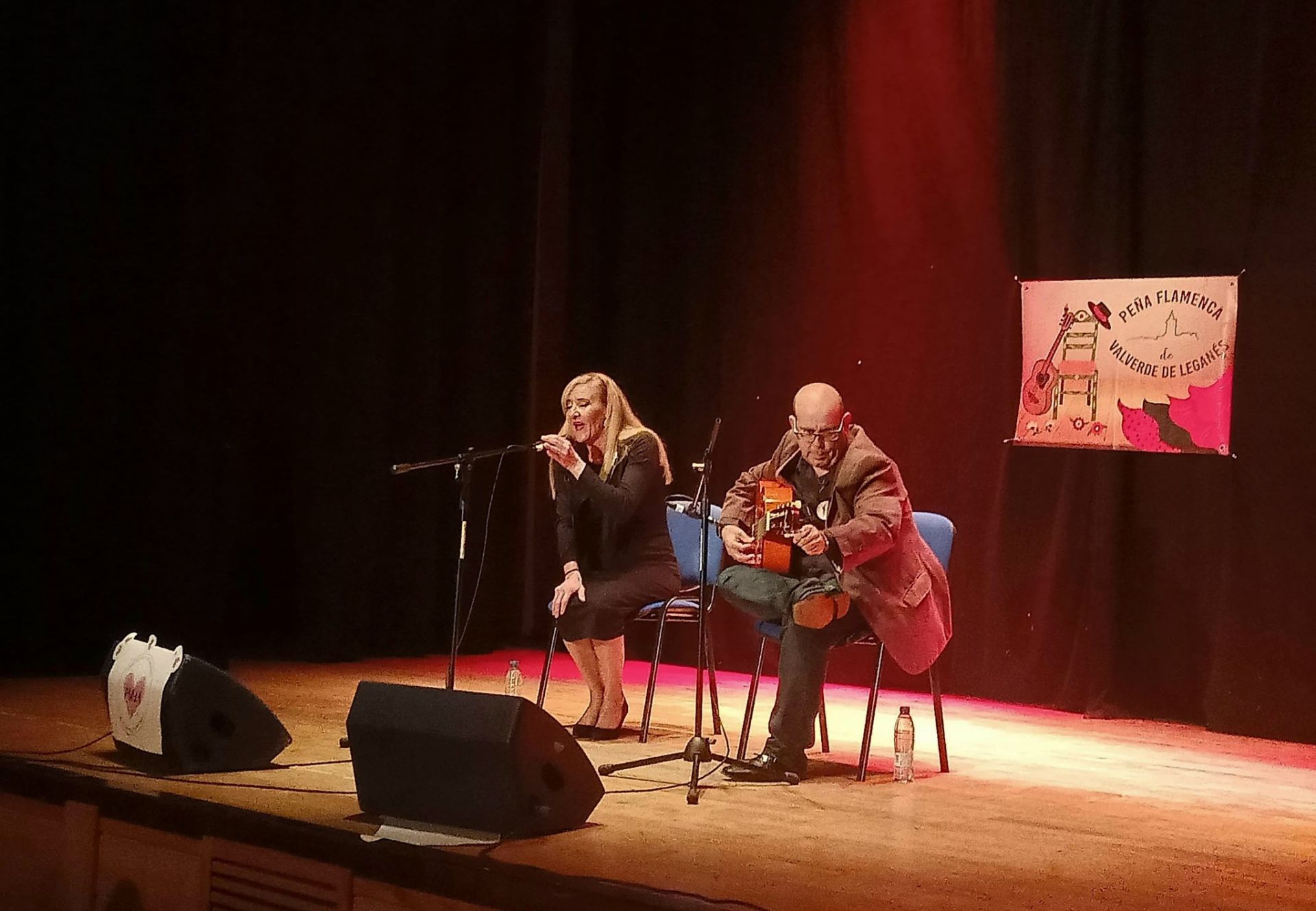 Gala Flamenca en apoyo a Paola
