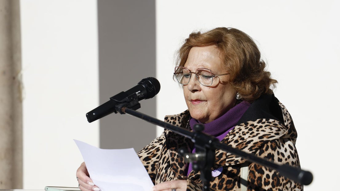 Día Internacional de la Eliminación de la Violencia contra la Mujer