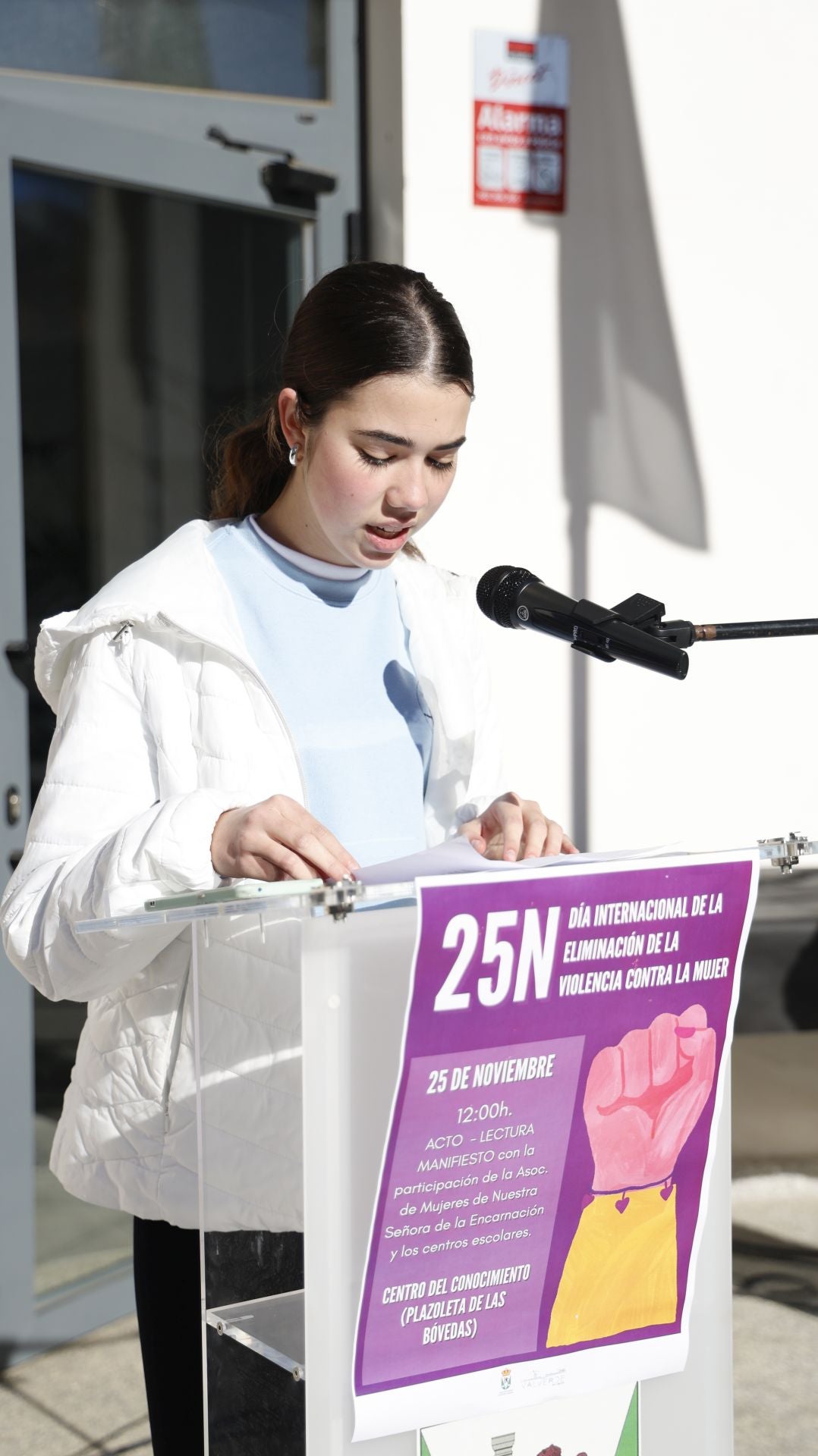 Día Internacional de la Eliminación de la Violencia contra la Mujer