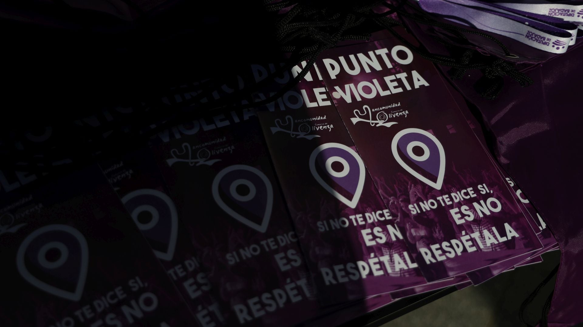 Día Internacional de la Eliminación de la Violencia contra la Mujer