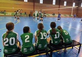 Cara y cruz para los equipos de voleibol en la última jornada