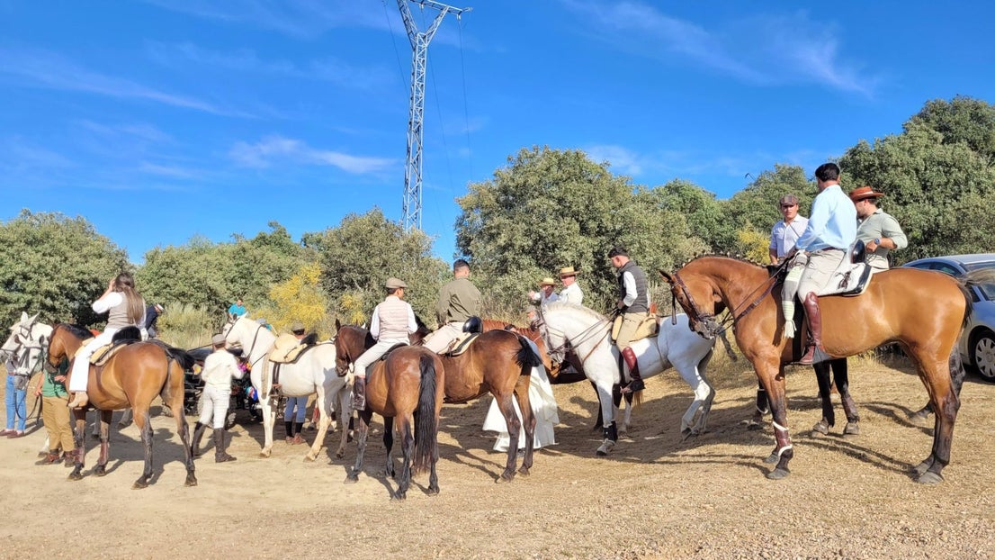 Romería de San Isidro