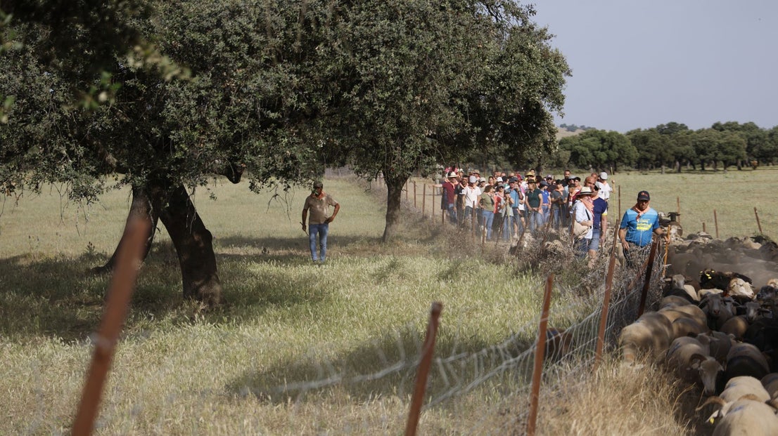 Recorrido Trashumante