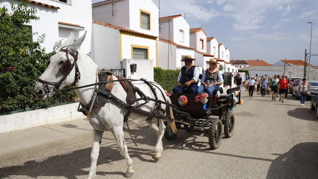 Recorrido Trashumante