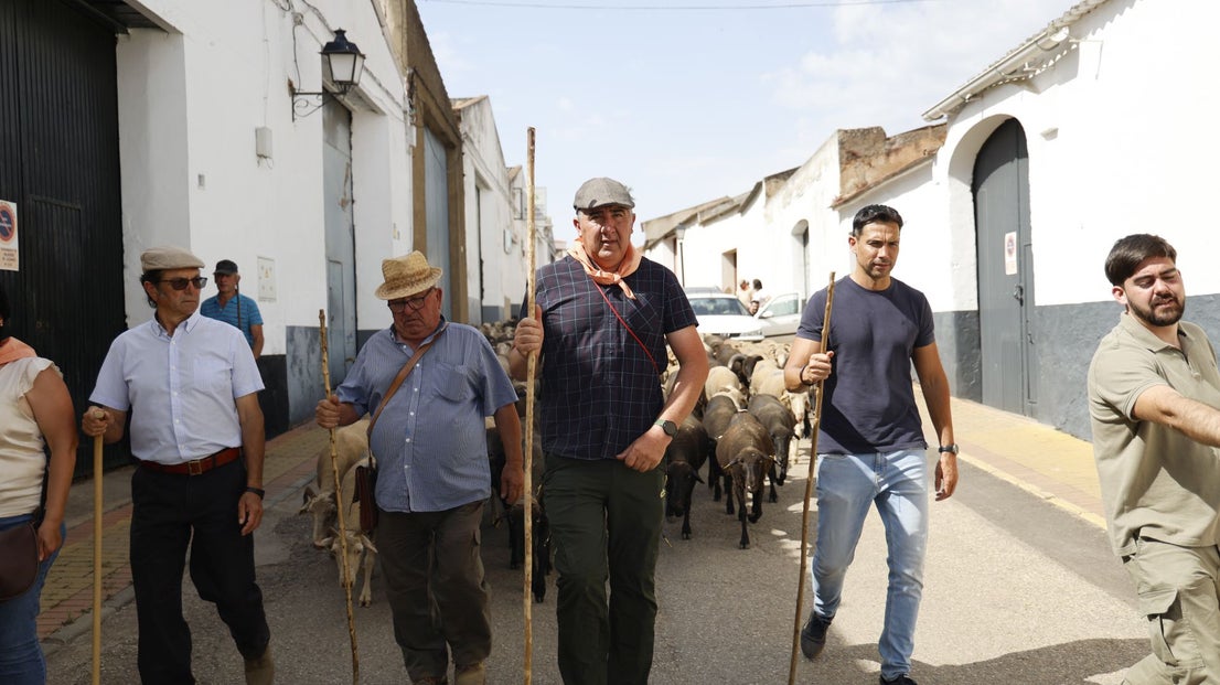 Recorrido Trashumante