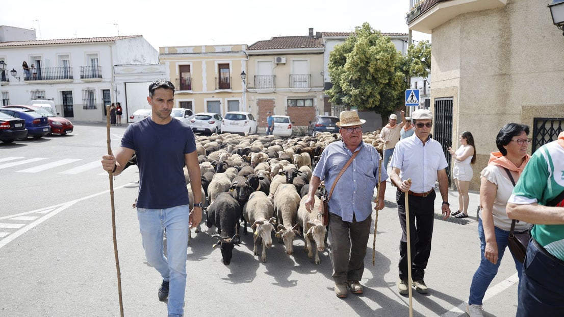 Recorrido Trashumante