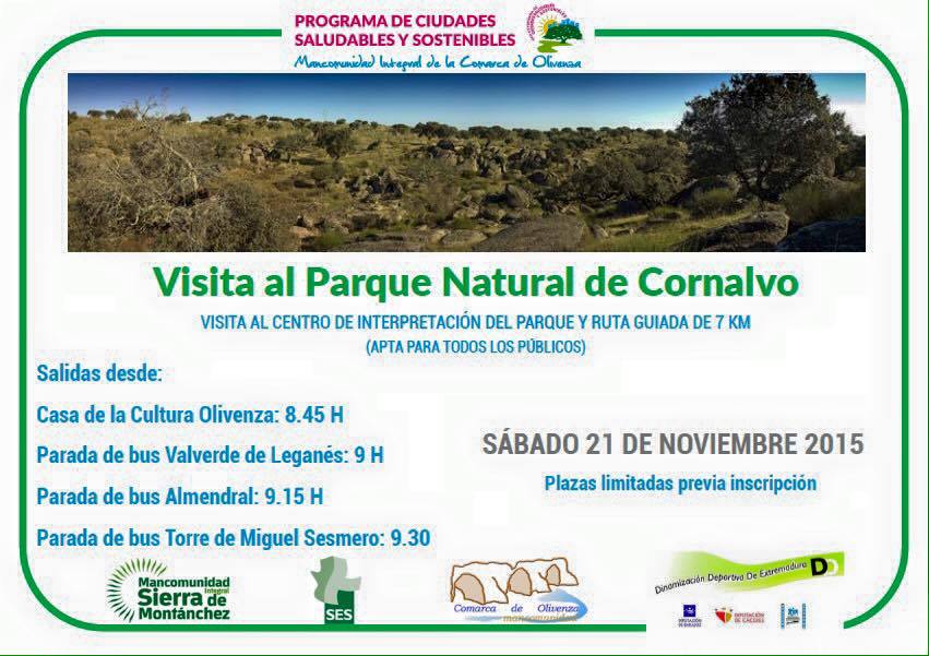 Cartel de la actividad