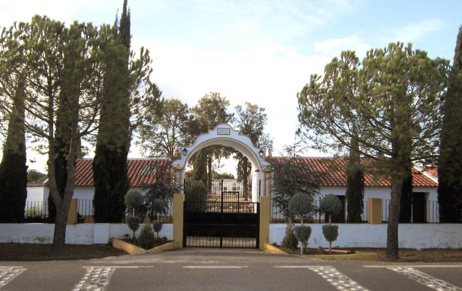 Cementerio municipal