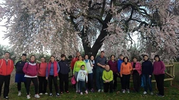 Actividad celebrada el año paado