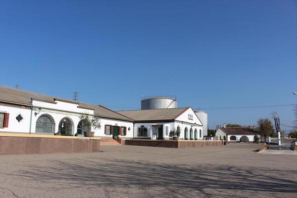 Patrimonio Comunal Olivarero en Villafranca de los Barros. 