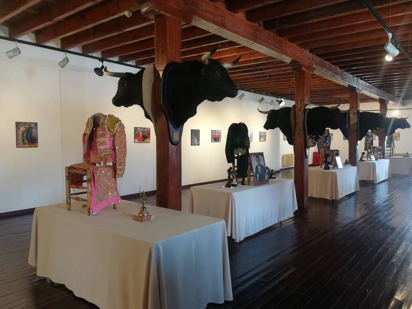 Fotos: Miguel Ángel Perera, 15 años de alternativa