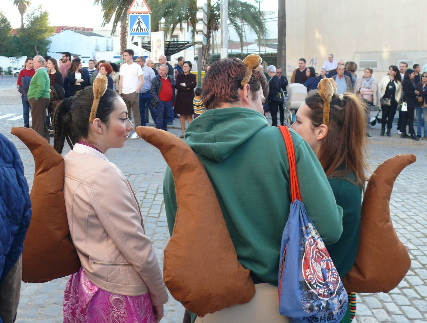 Fotos: Desfile Carnaval 2020 Villafranca