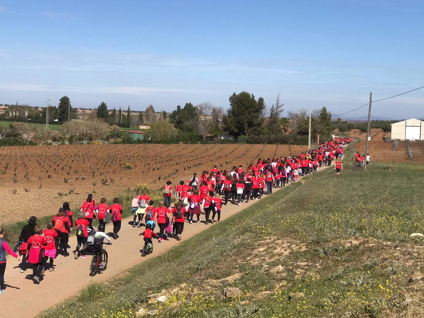 Foto de familia de la ruta antes de partir a la Plaza de Toros 