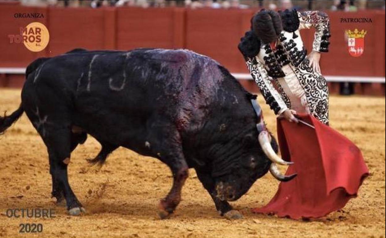 Esta tarde, clase práctica taurina con novillos de la Ganadería Vistalegre en Villafranca