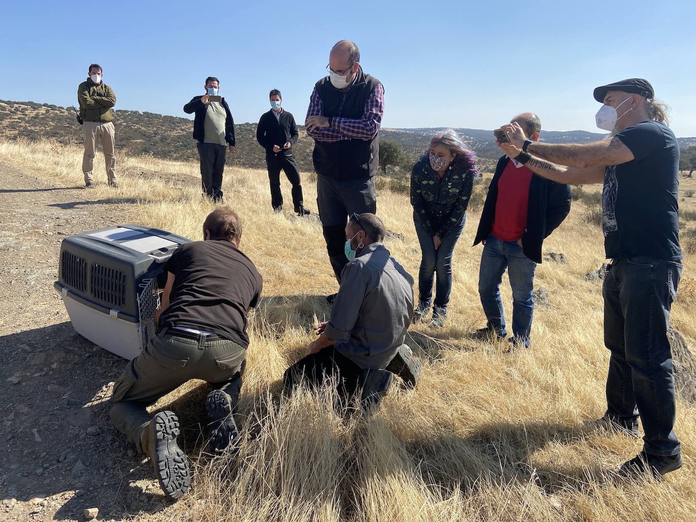Fotos: AMUS libera a un Águila imperial recuperado tras una electrocución
