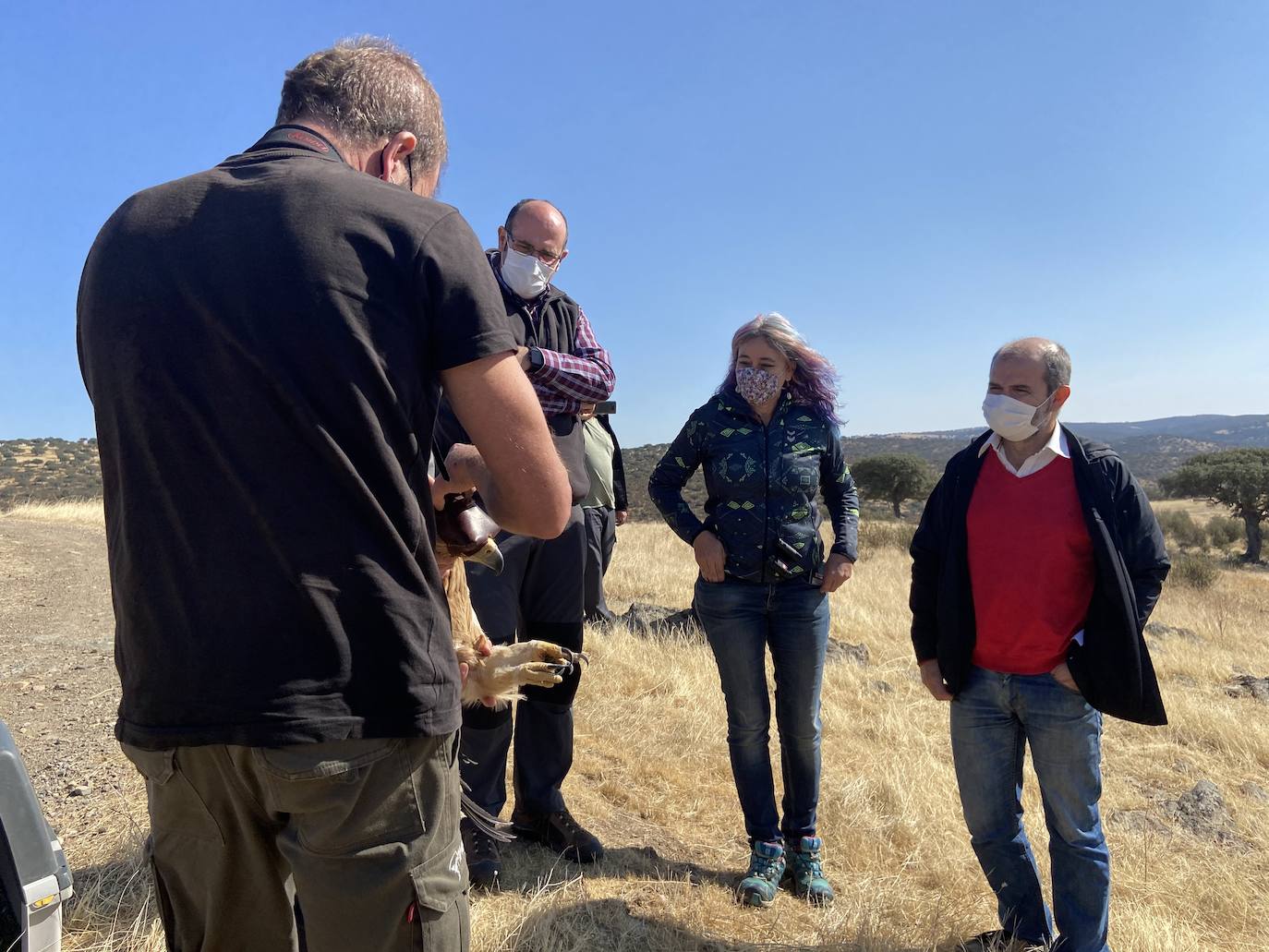 Fotos: AMUS libera a un Águila imperial recuperado tras una electrocución