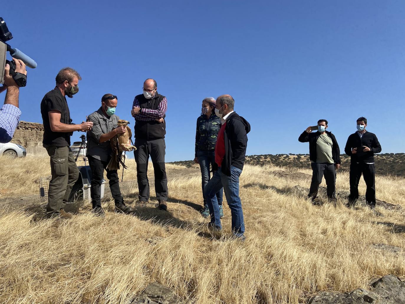 Fotos: AMUS libera a un Águila imperial recuperado tras una electrocución