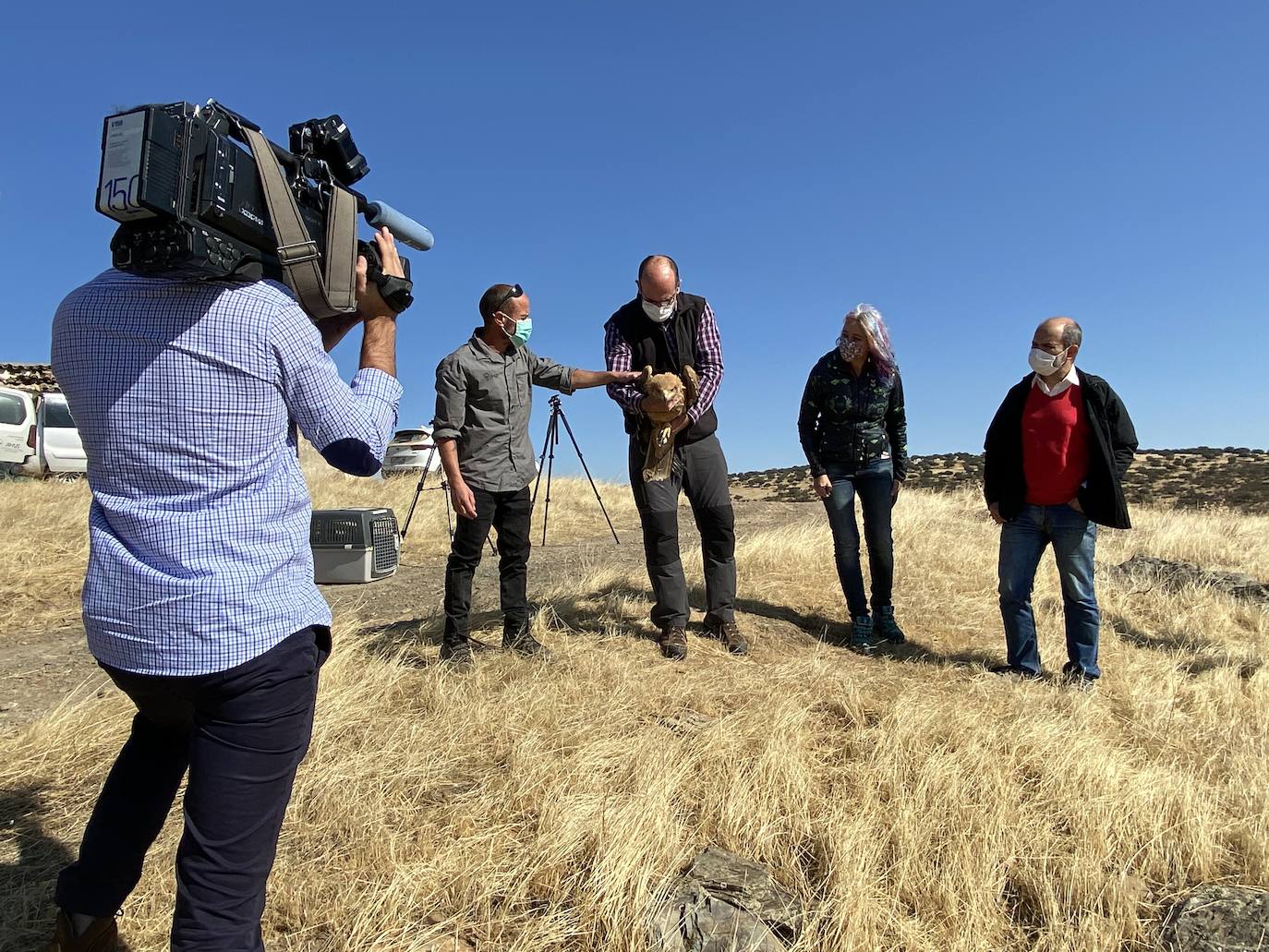 Fotos: AMUS libera a un Águila imperial recuperado tras una electrocución