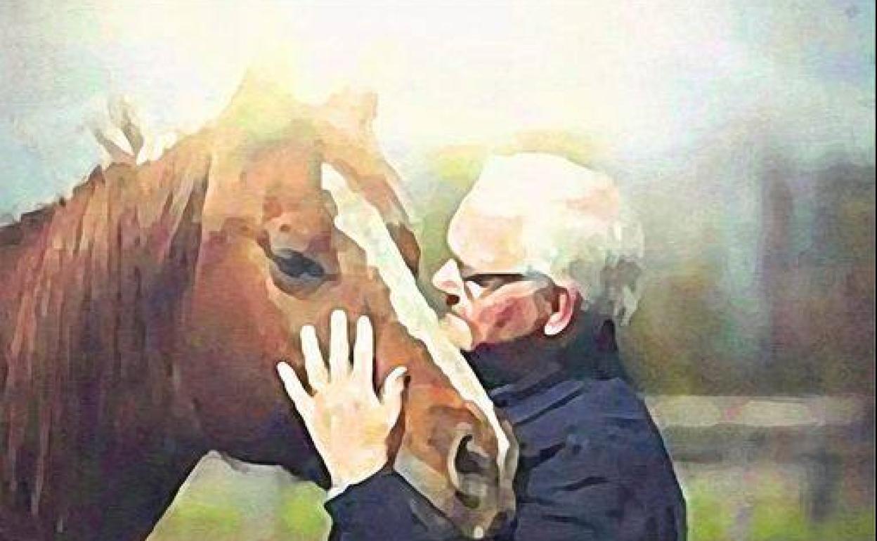 Nuevo proyecto en Villafranca para acceder a actividades relacionadas con el mundo del caballo y la naturaleza