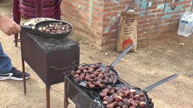 Fotos: Los colegios celebran la chaquetía en un encuentro intergeneracional