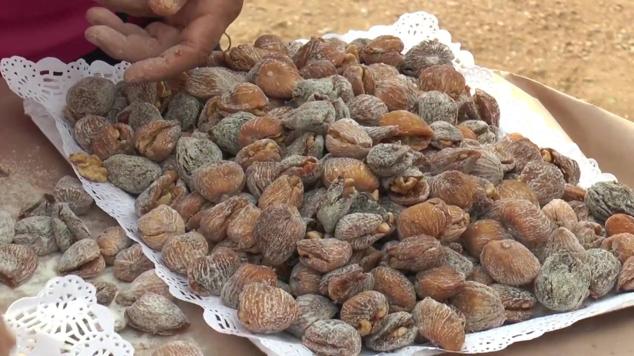 Fotos: Los colegios celebran la chaquetía en un encuentro intergeneracional