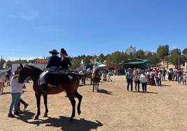 Imagen de la pradera de San Isidro de Villafranca de los Barros durante la romería.