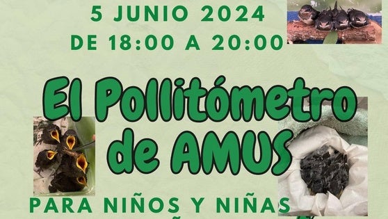 Nuevo taller para pequeños para conocer y conectar con la fauna salvaje