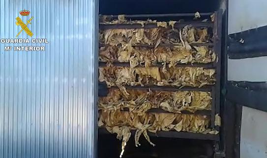 Furgoneta con las hojas de tabaco incautadas por la Guardia Civil.  
