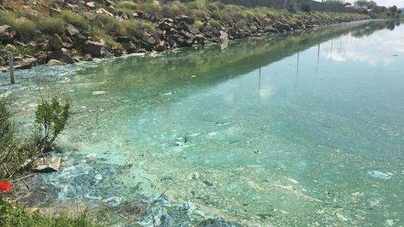 Estado de las aguas del pantano Los Molinos durante los días de contaminación por unas algas tóxicas. 