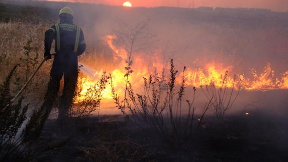 Un bombero apaga, manguera en mano, el fuego descontrolado. 