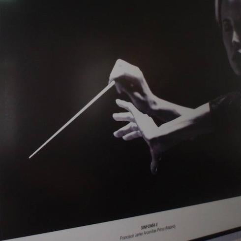 'Sinfonía II', de Francisco Javier Arcenillas Pérez (Madrid), fotografía ganadora del Premio Nacional de Fotografía Musical 'Pedro Bote 2018'