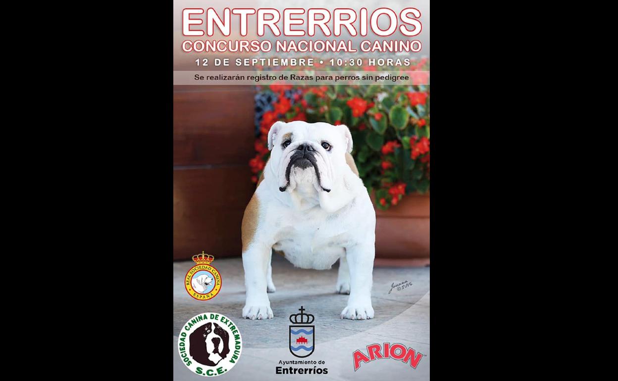 Entrerríos acogerá el Concurso Canino Nacional el 12 de septiembre