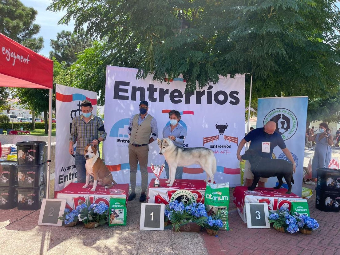 Participantes en el I Concurso Canino Nacional celebrado en Entrerríos. 