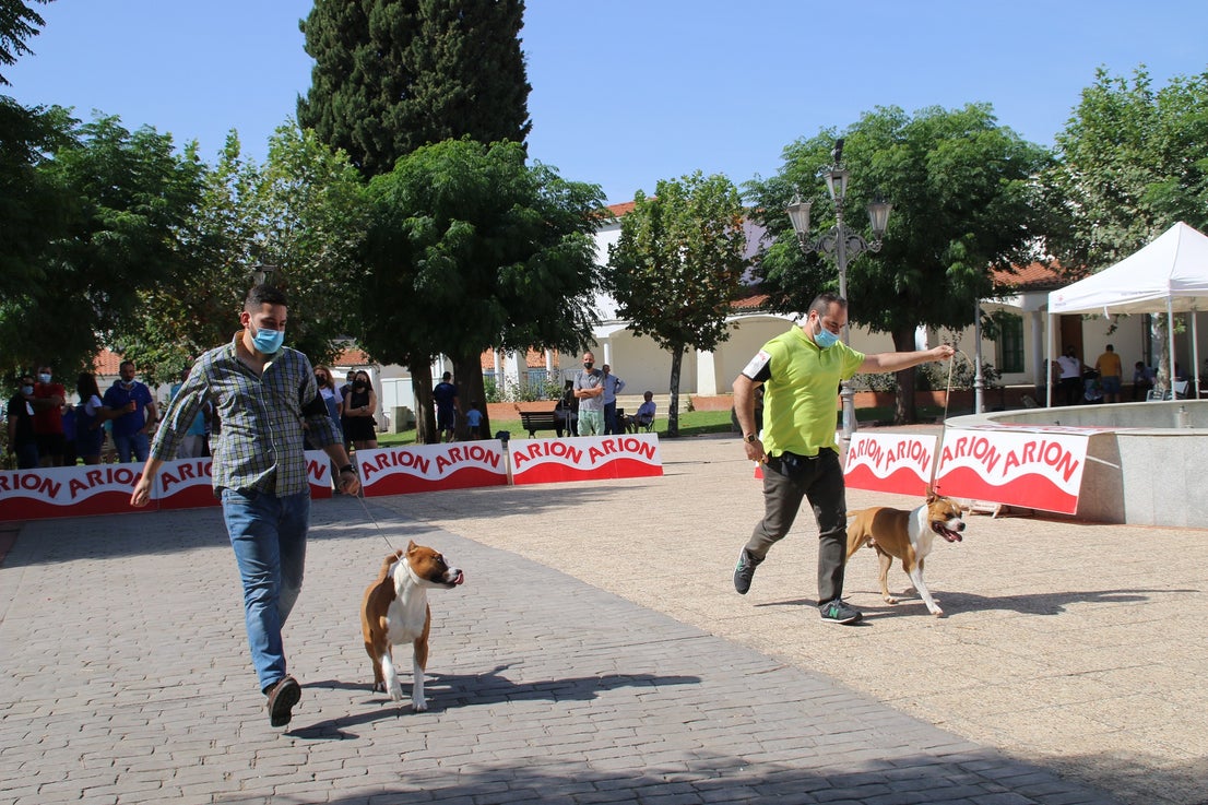 Participantes en el I Concurso Canino Nacional celebrado en Entrerríos. 