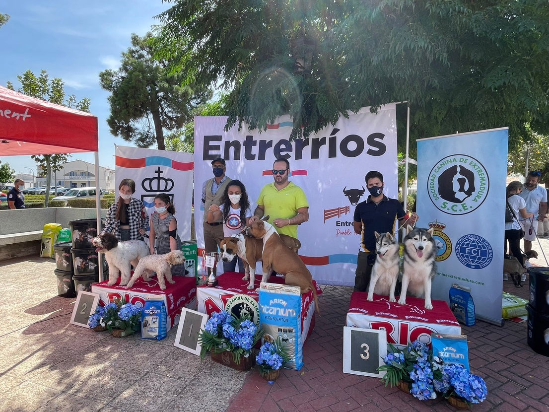 Participantes en el I Concurso Canino Nacional celebrado en Entrerríos. 