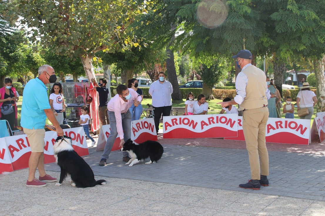 Participantes en el I Concurso Canino Nacional celebrado en Entrerríos. 