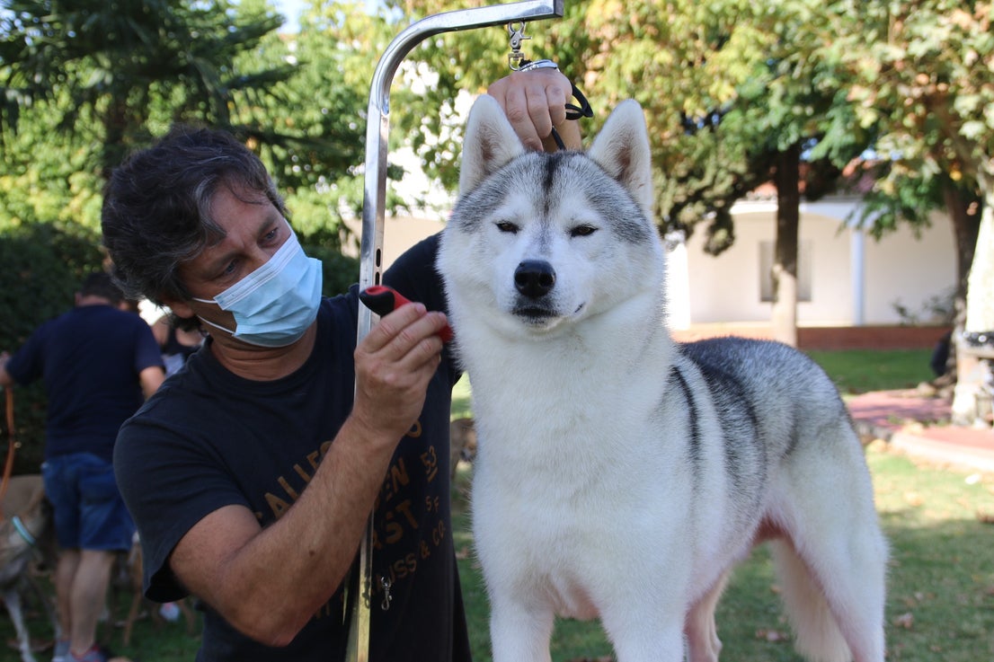 Participantes en el I Concurso Canino Nacional celebrado en Entrerríos. 