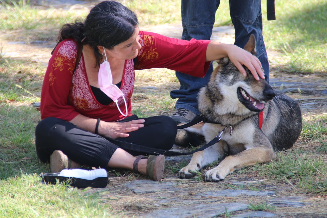 Participantes en el I Concurso Canino Nacional celebrado en Entrerríos. 