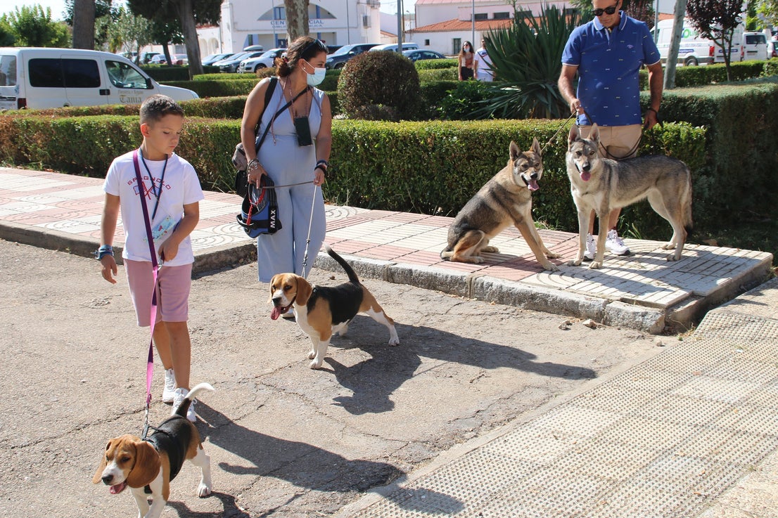 Participantes en el I Concurso Canino Nacional celebrado en Entrerríos. 