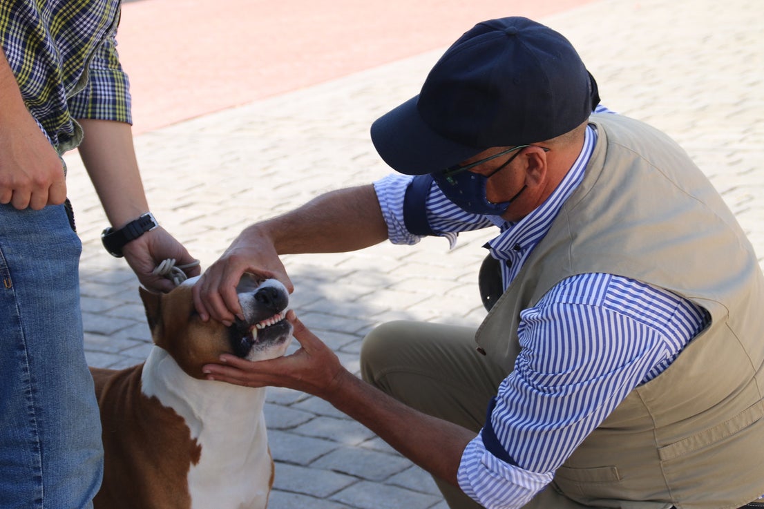 Participantes en el I Concurso Canino Nacional celebrado en Entrerríos. 