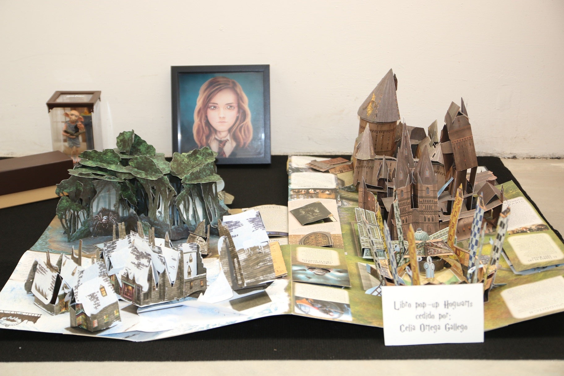 Visitantes en la XI Feria Internacional del Coleccionismo. 