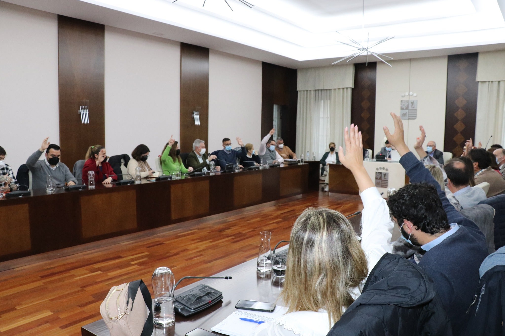 Votación para aprobar las cinco comisiones que trabajarán para materializar la unión. 