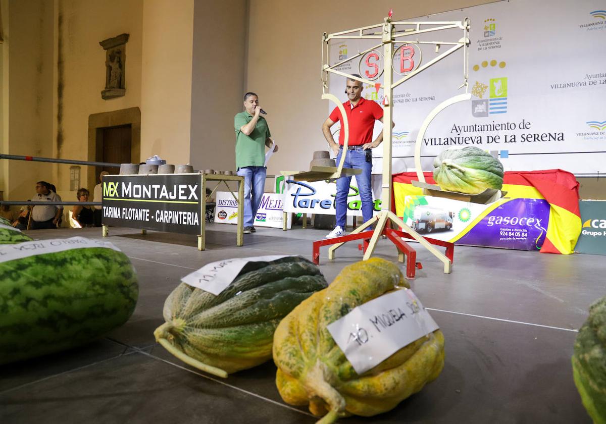 Un melón para la historia en las fiestas de 'San Bartolo'