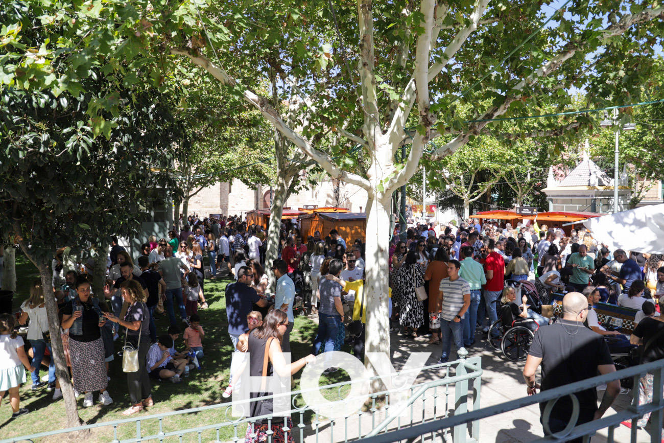 La 10ª Feria de la Tortilla de patatas, en imágenes